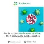 Prevent Malaria While Traveling